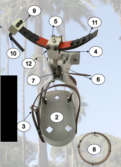 Bicicleta para la poda de palmeras